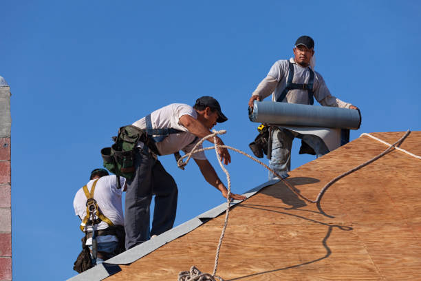 Best Roof Waterproofing Services  in La Luz, NM